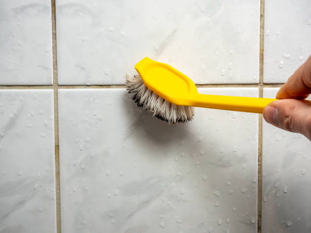 Best Mold Cleaning Services  in East Foothills, CA