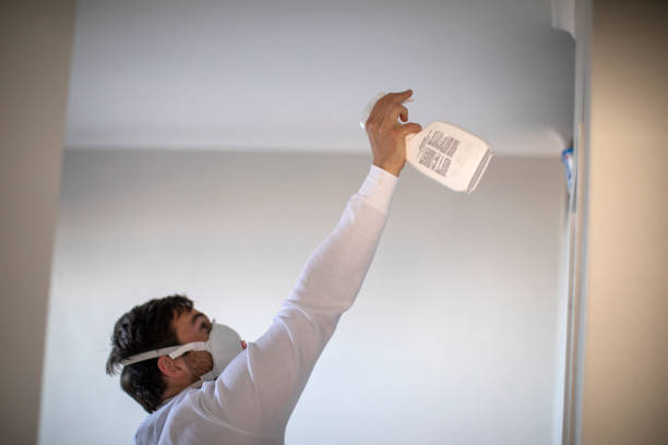 Best Toxic Mold Removal  in East Foothills, CA